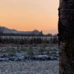 Abenteuerliche Geschichte des Drachenmaedchens Abenteuerliche Geschichte des Drachenmädchens. Satire VON KLAUS KRÜGER