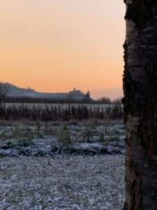 Abenteuerliche Geschichte des Drachenmädchens. Satire VON KLAUS KRÜGER
