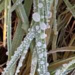 It's alright, Ma! Gedicht.