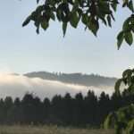 Du in mir. Roba fühlt sich leer und öd, aber dann entdeckt der Dichter etwas in sich, das ihn aus dem Konzept bringt und das ihn hoffen lässt.