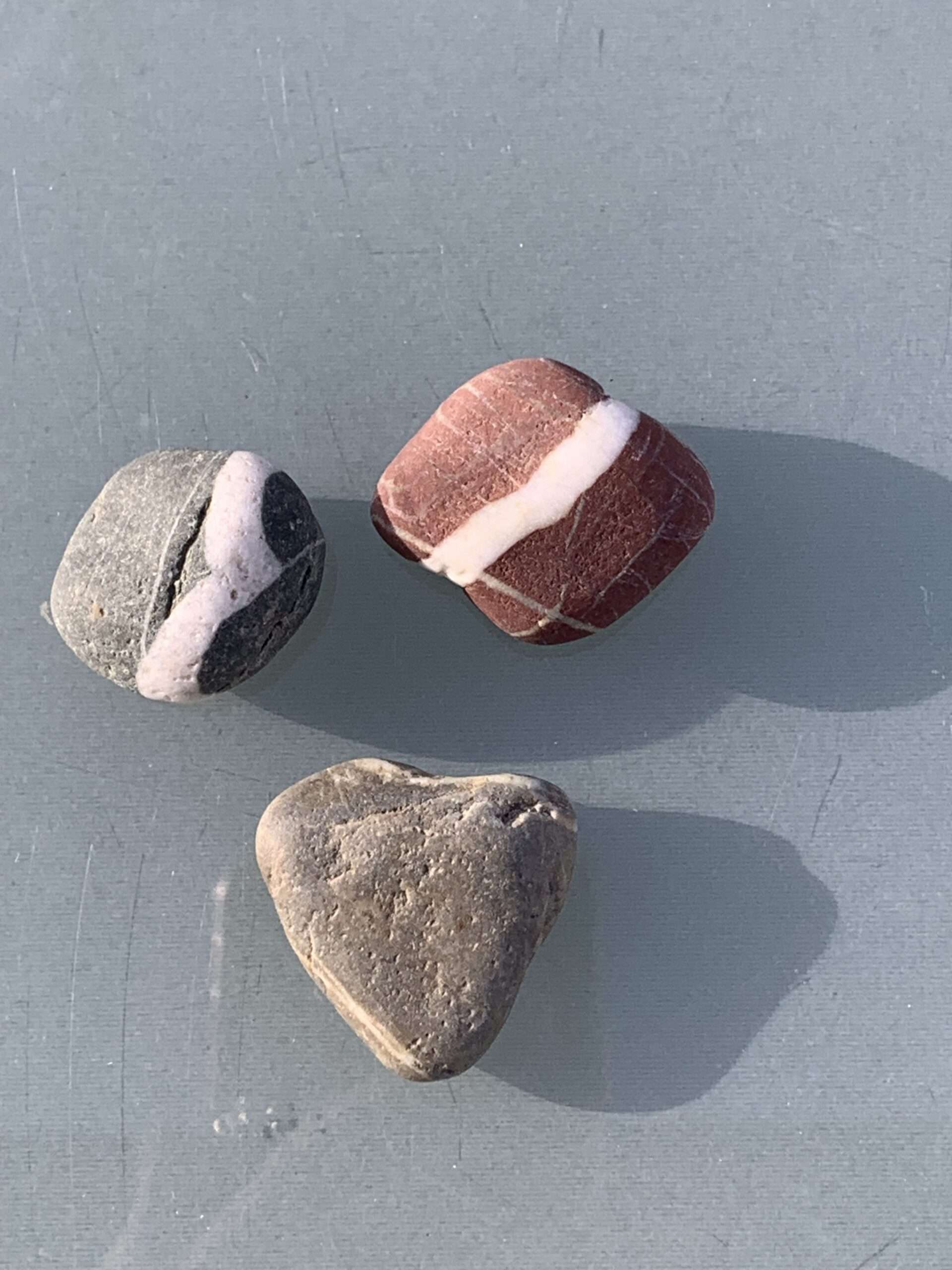 Krügers Haikus haben es in sich. Auch beim Start der Mopsmaschine.