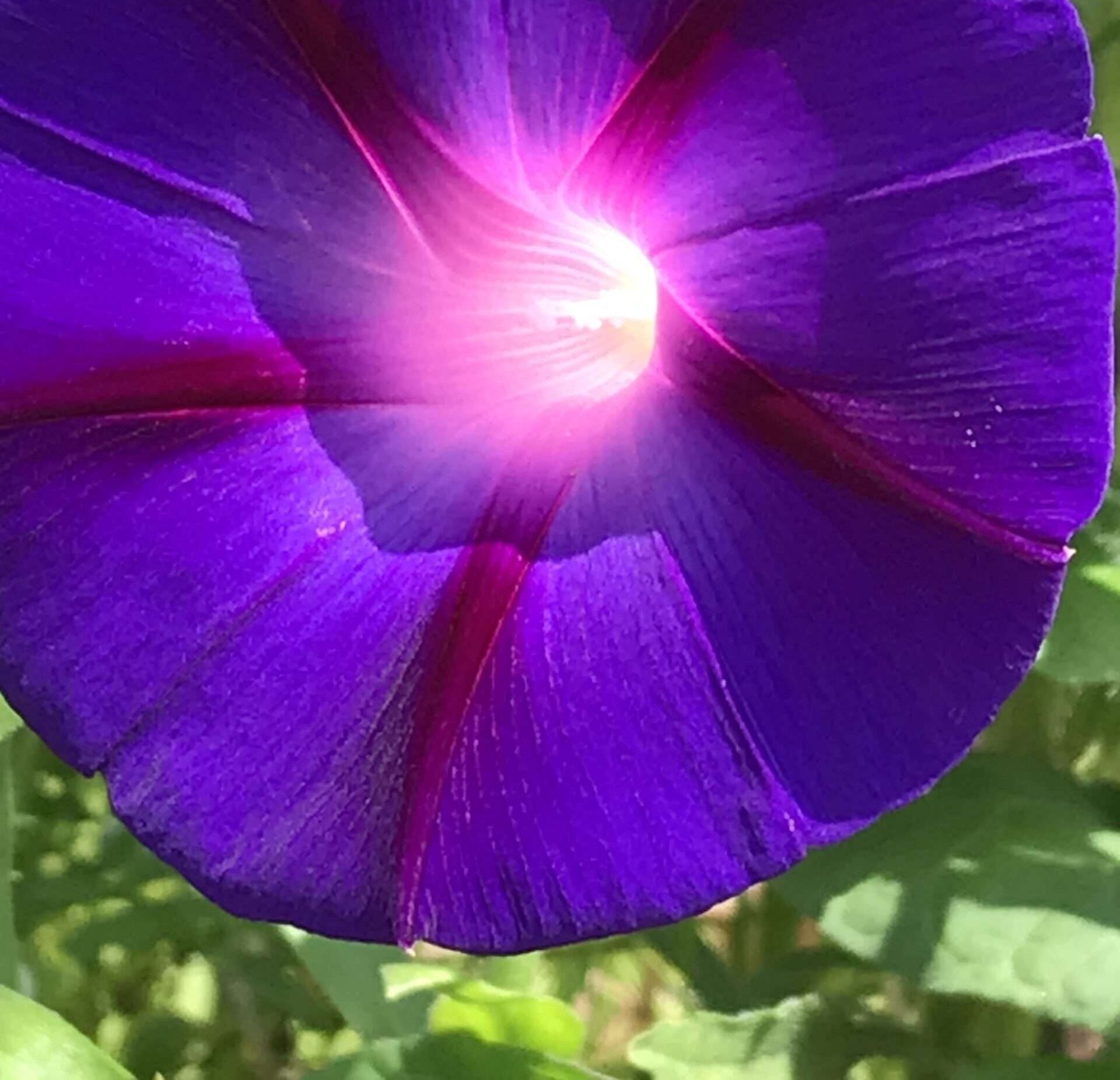 Manchmal muss man sich selbst belügen, um eine schlechte Liebe auszuhalten. Die Frage ist nur. Glaubt man sich dann selbst?