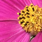 Manchmal ist ein Ende auch gut. Beuge dich nicht der Eitelkeit der Schwätzer, verlasse Frauen, die sich nur selbst bespiegeln. Das Leben bietet so viel mehr.