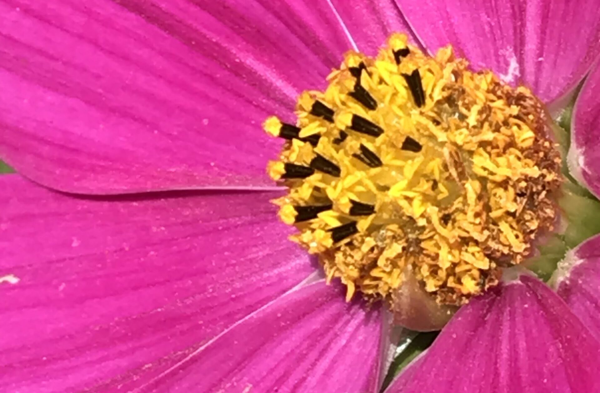 Manchmal ist ein Ende auch gut. Beuge dich nicht der Eitelkeit der Schwätzer, verlasse Frauen, die sich nur selbst bespiegeln. Das Leben bietet so viel mehr.
