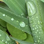 Wenn der Regen das Gesicht zerbeißt, wenn Verlieren zur Sucht wird, hat die Liebe es schwer. Was bleibt, ist der löchrige Mantel.