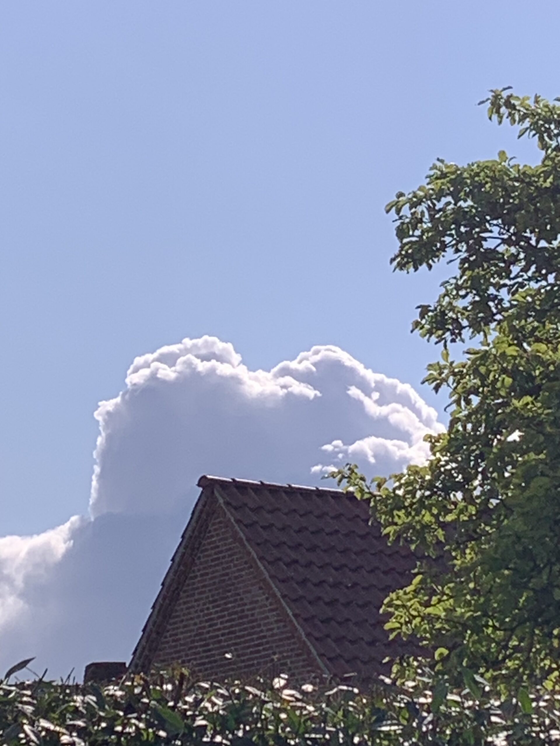 Überleben Du weißt, wer Du bist? Sag es dreimal. Ansonsten folge der Spur der Wölfe und schwimme gegen den Strom der Zeit. So wirst Du stark werden.