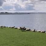 Lay your love on me: Mit Gott ist es eine verzwickte Sache. Du musst ihn lieben, aber er macht es Dir nicht leicht. Seine Welt ist gründlich aus den Angeln geraten.