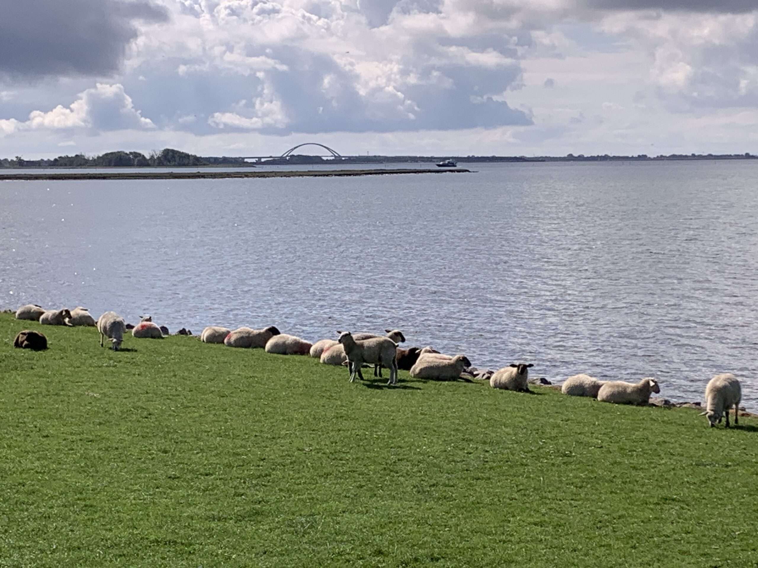 Lay your love on me Lay your love on me: Mit Gott ist es eine verzwickte Sache. Du musst ihn lieben, aber er macht es Dir nicht leicht. Seine Welt ist gründlich aus den Angeln geraten.