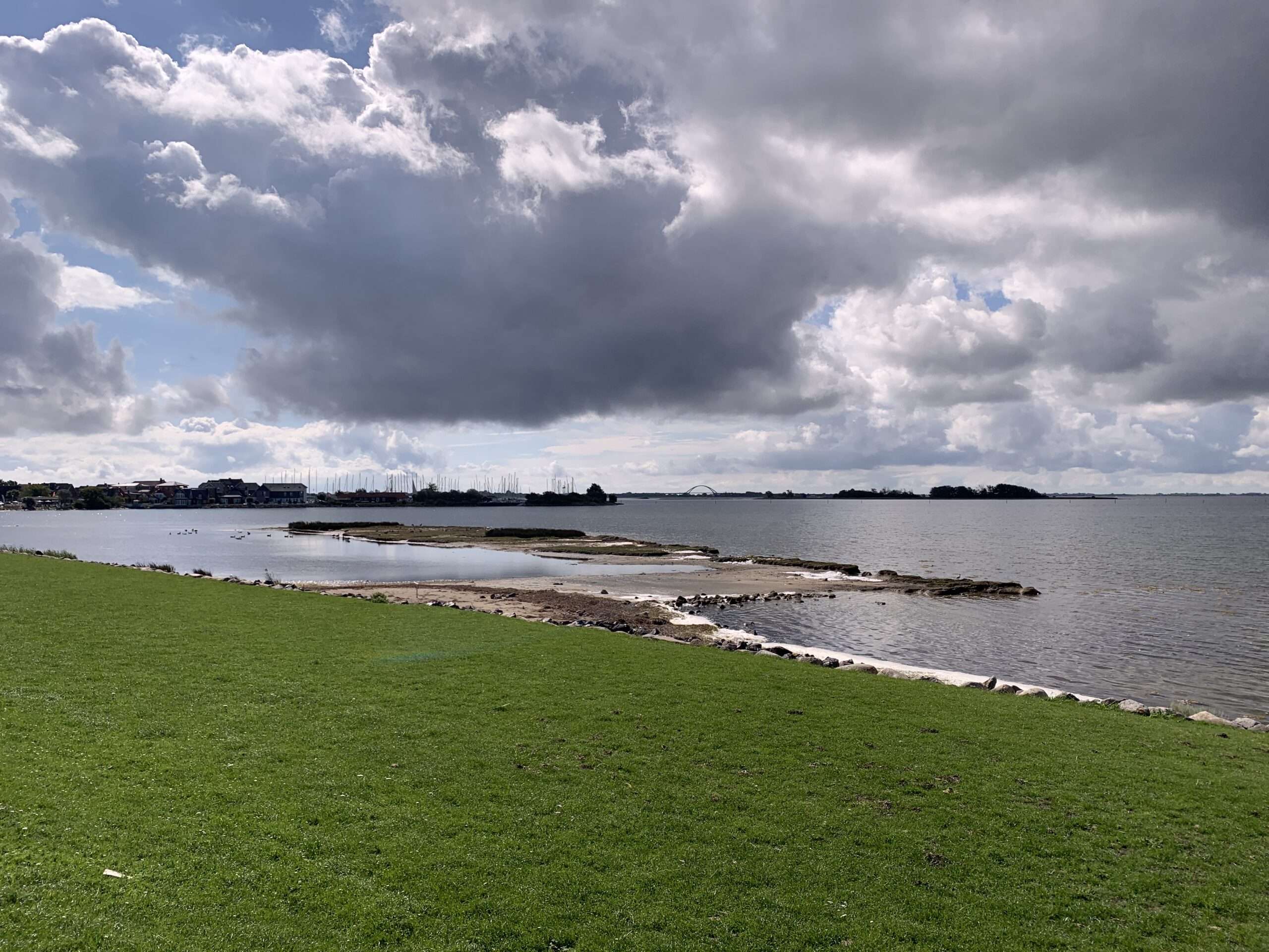 Manchmal sind wir in der Ödnis verloren, sind innerlich wüst und leer. Doch plötzlich glimmt Hoffnung auf, das Herz birgt Überraschendes.