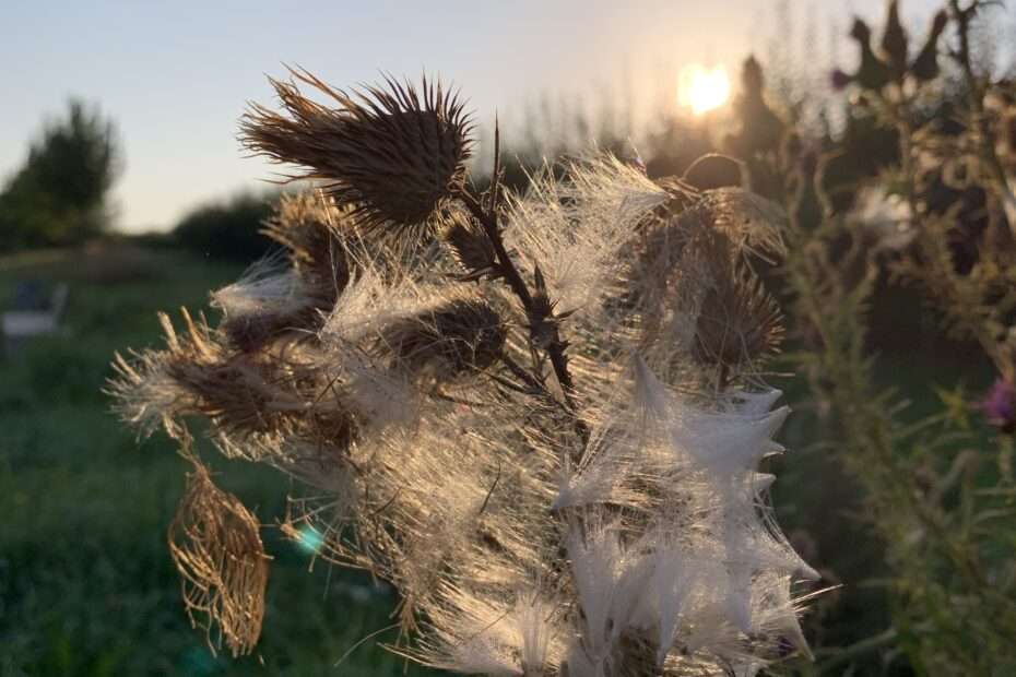 Das Leben ist endlich und kurz, wir sind nur Staub im Wind. Und unsere Werke auf Erde auch. Was verleiht uns Dauer?