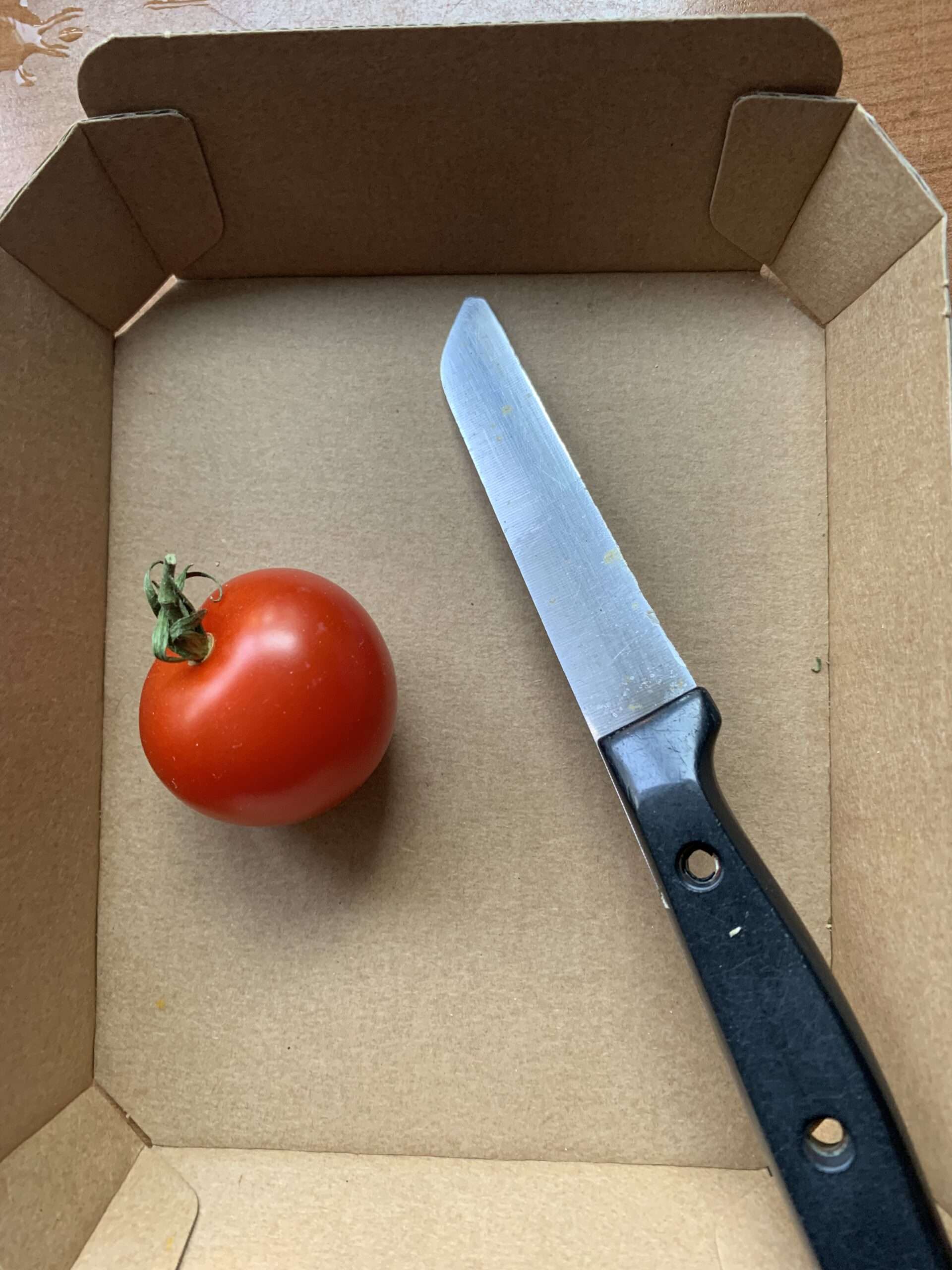 Kristallnacht Sind wir wirklich so dumm? Lassen wir uns von den Brandstiftern täuschen, die als Biedermänner zündeln? Es riecht nach Kristallnacht.