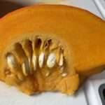 Der Sommer geht nicht gerne, verhakt sich im Herbst. Trotz der Erntezeit bleiben die Scheuer leer, die Schützengräben sind blutig.