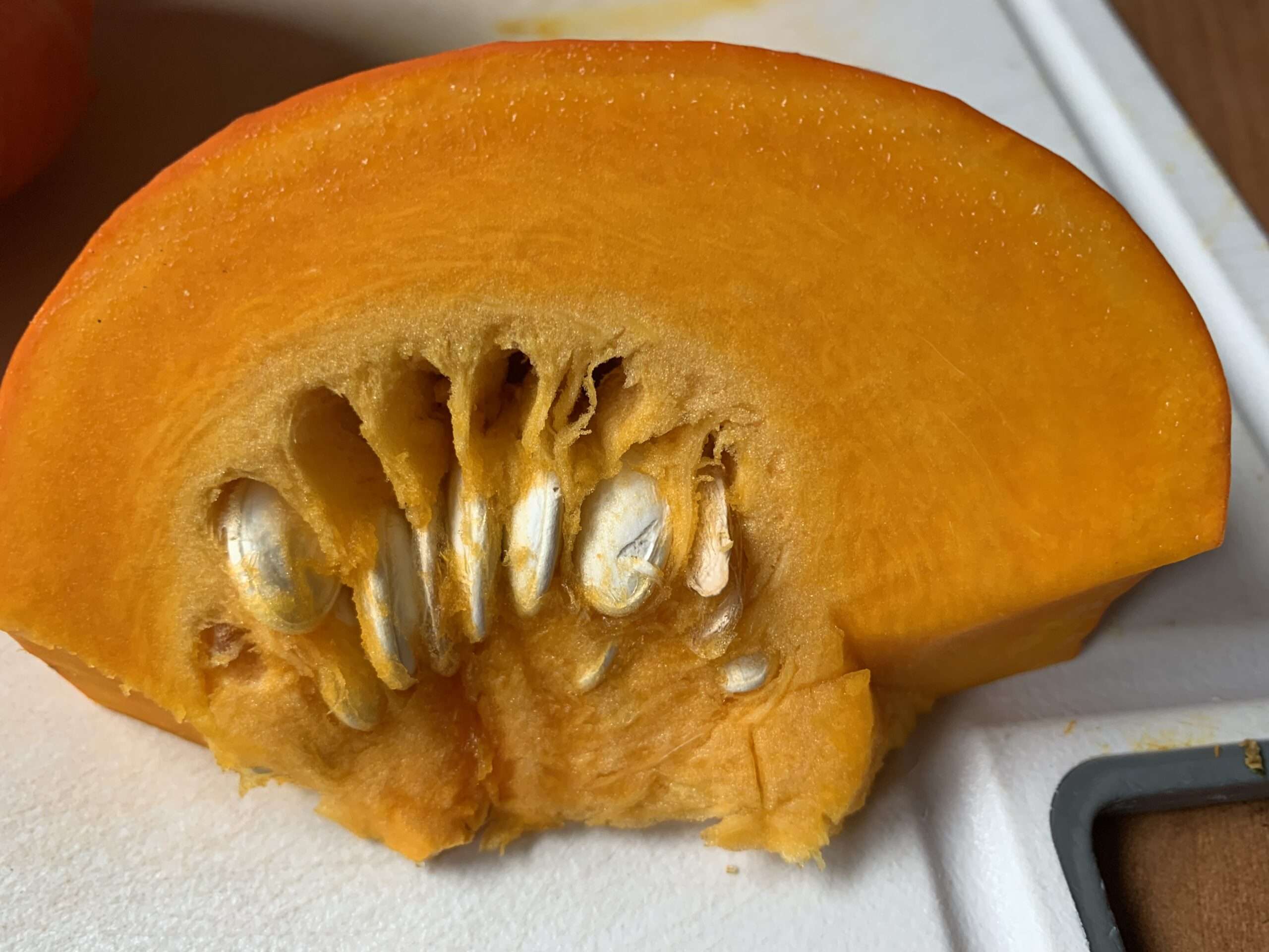 Herbstzeit Der Sommer geht nicht gerne, verhakt sich im Herbst. Trotz der Erntezeit bleiben die Scheuer leer, die Schützengräben sind blutig.