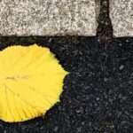 Und plötzlich ist sie da, die Erinnerung an eine alte Liebe. Ja, die Zeit war schön, wohlig warm die Gefühle, doch mein Herz ist rostig.