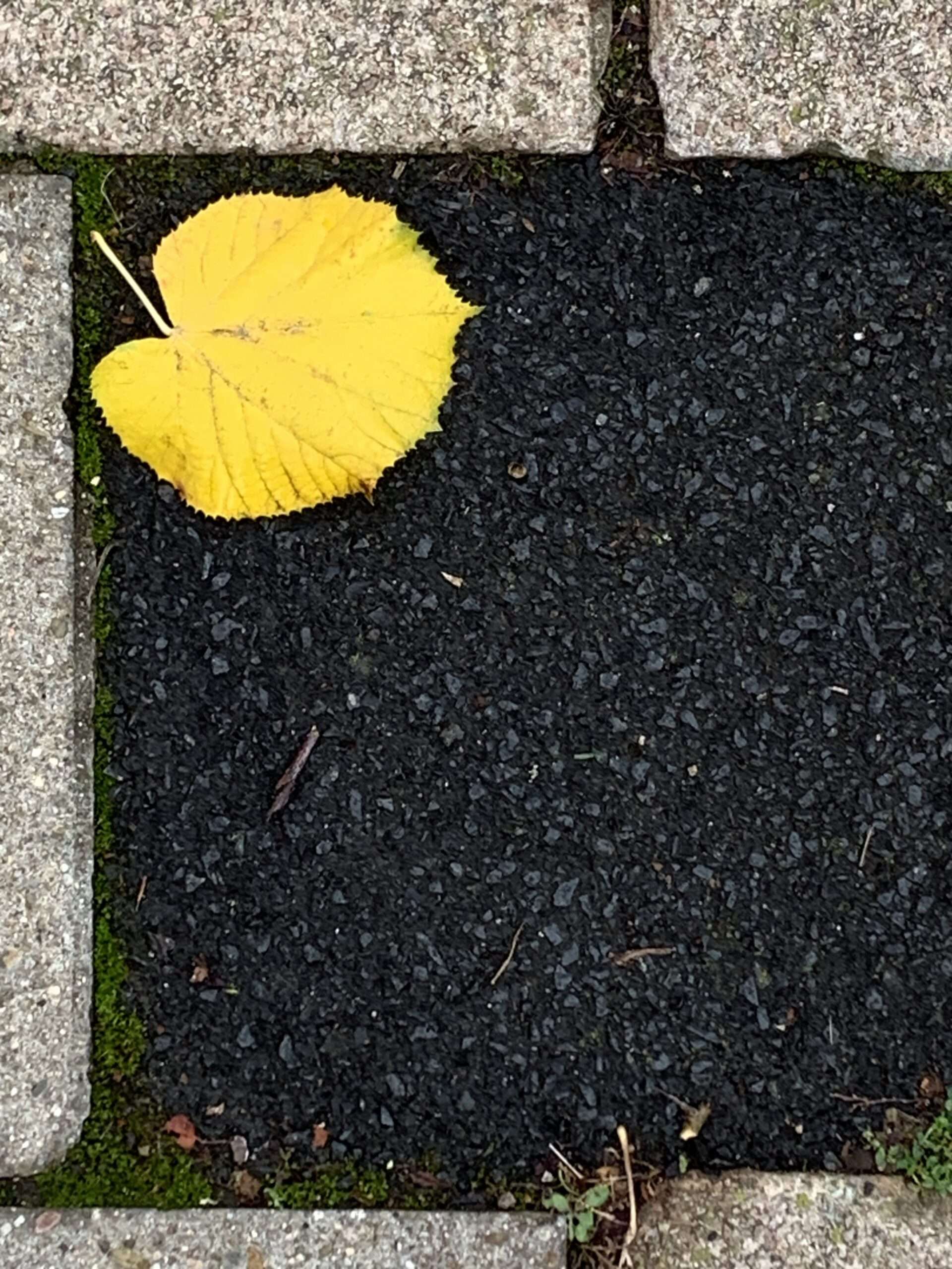 Der Tod schreckt uns. Und doch ist er Gottes Bote und führt uns in die andere Welt.