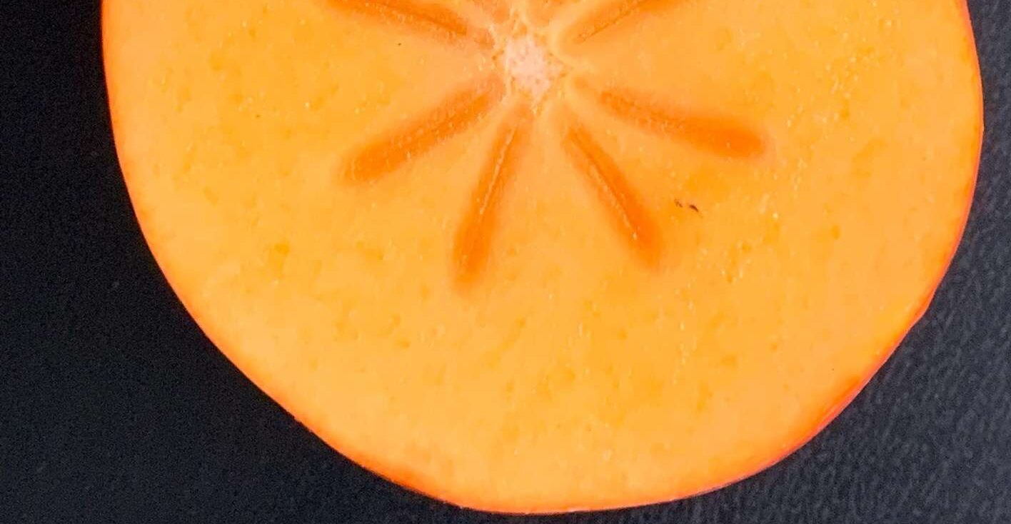 Du bist dick Lasst Dicke um mich sein, dicke Frauen sind eine Sensation. Sie wärmen, sie geben Geborgenheit. Und wenn sie lachen, bebt die Welt.