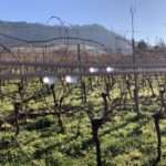 Soft Goodbye Manche Sätze lassen uns stürzen. Mit viel Glück fallen wir vom Seil hoch droben auf eine weiche Matte.