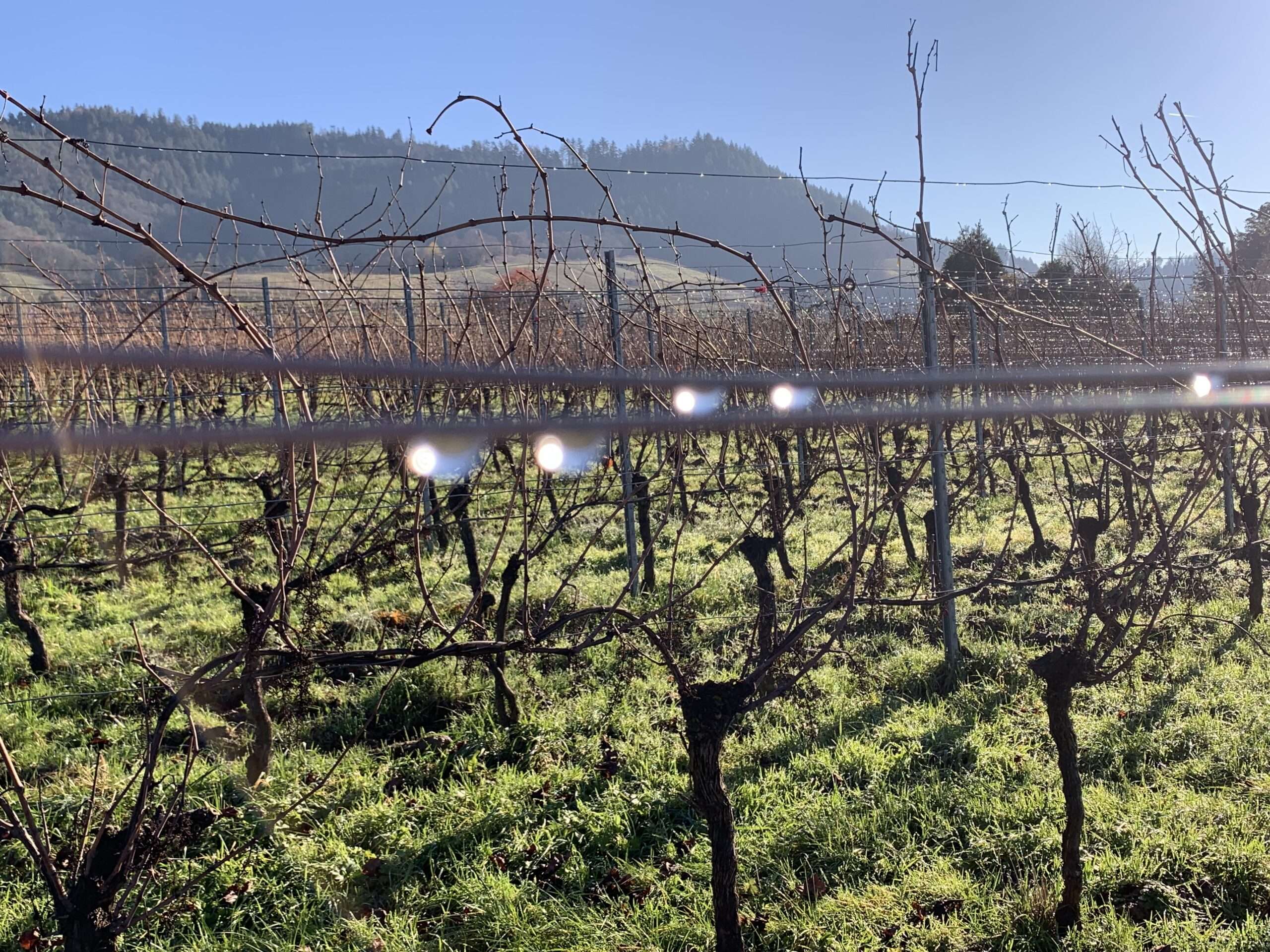 Soft Goodbye Manche Sätze lassen uns stürzen. Mit viel Glück fallen wir vom Seil hoch droben auf eine weiche Matte.