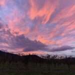 Steh hier Das wilde Spiel der Kinder, das geduldige Sterben der Alten, beides mit einem Blick erfasst. Beides zusammen macht das Leben erträglich.
