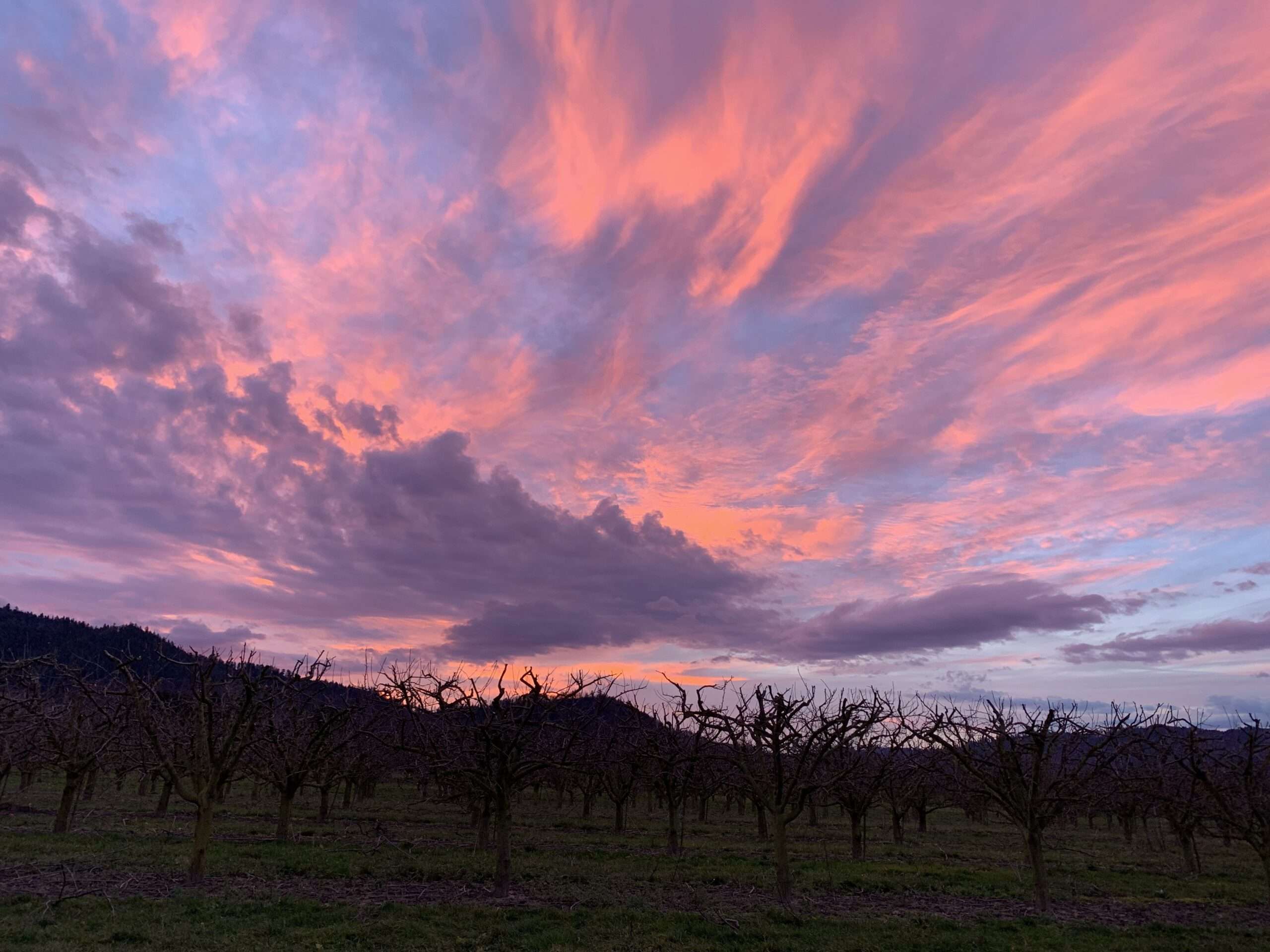 Steh hier Das wilde Spiel der Kinder, das geduldige Sterben der Alten, beides mit einem Blick erfasst. Beides zusammen macht das Leben erträglich.