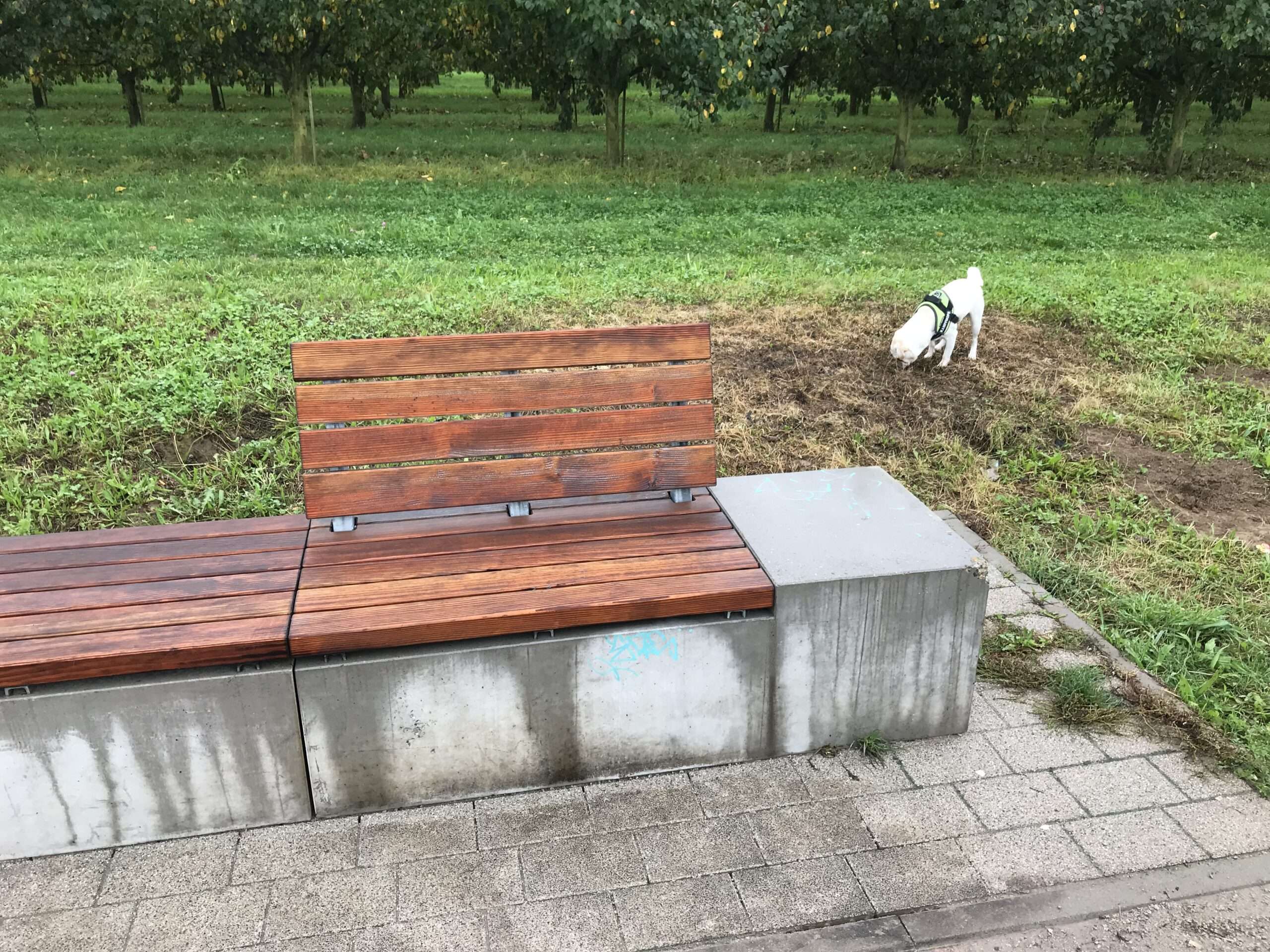 Die Bank Eine Bank an einem Wohngebiet, das langsam in den Himmel wächst. Eine Bank zum Feiern. Eine Bank zum Sterben.