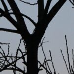 Too much White – anyway Zuviel Schwarz in der Welt? Vielleicht ist Schwarz die richtige Haltung in dieser Welt. Das Kontrastmittel des Wahnsinns. Weiß kann töten.