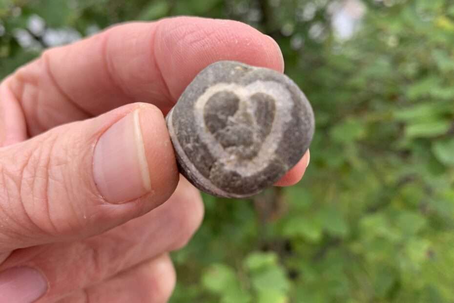 Brosamen: Auf der Jagd nach einem Krümel Liebe. Das Brot schmeckt grau. Und doch bleibt er Traum vom prallen Glück lebendig.