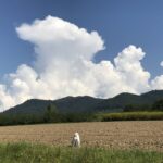 Skandal Wie sich ein Skandal doch wandelt. Der blaue Himmel etwa, Synonym einer Empörung aus Nichts heraus. Das hat sich geändert.