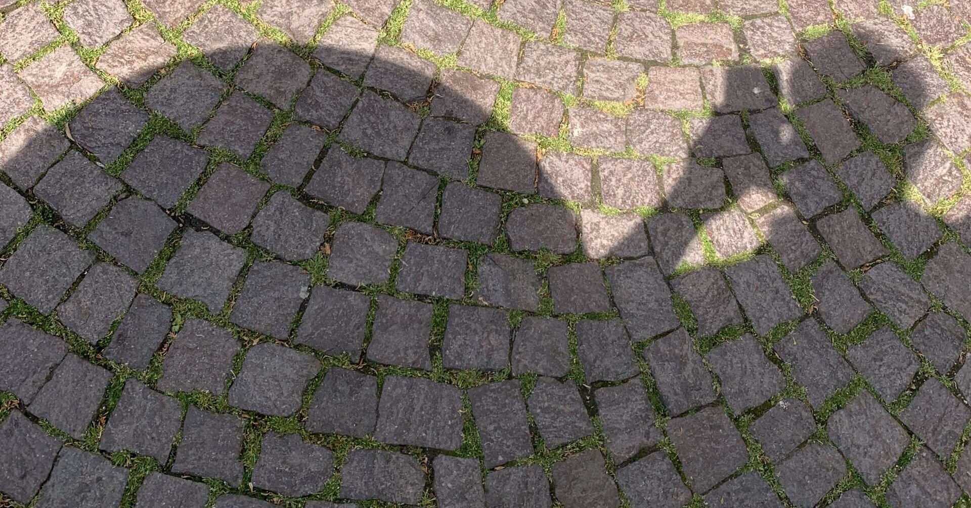 Hunger nach dir Wen verlassen wir als nächstes? Echte Geliebte oder nur virtuelle? Und waren in Zeiten der Seuche die wirklichen Geliebten nicht auch nur virtuell?