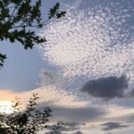 Du brauchst die Geduld der Schildkröte, um deine neue Liebe zu finden. Vergiss nicht, auf deiner Sternenreise der Passagier zu sein.