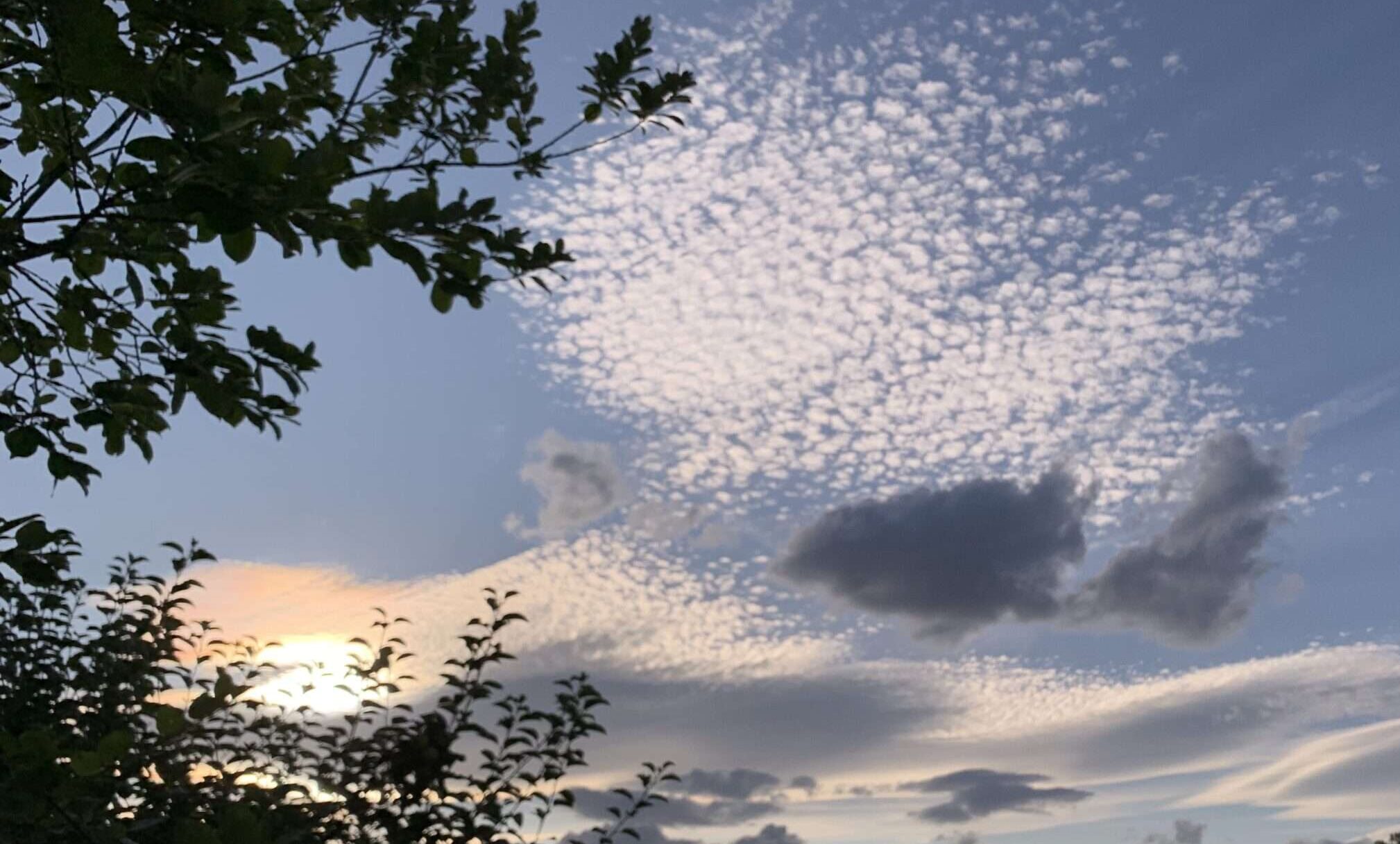 Puls der neuen Zeit Du brauchst die Geduld der Schildkröte, um deine neue Liebe zu finden. Vergiss nicht, auf deiner Sternenreise der Passagier zu sein.