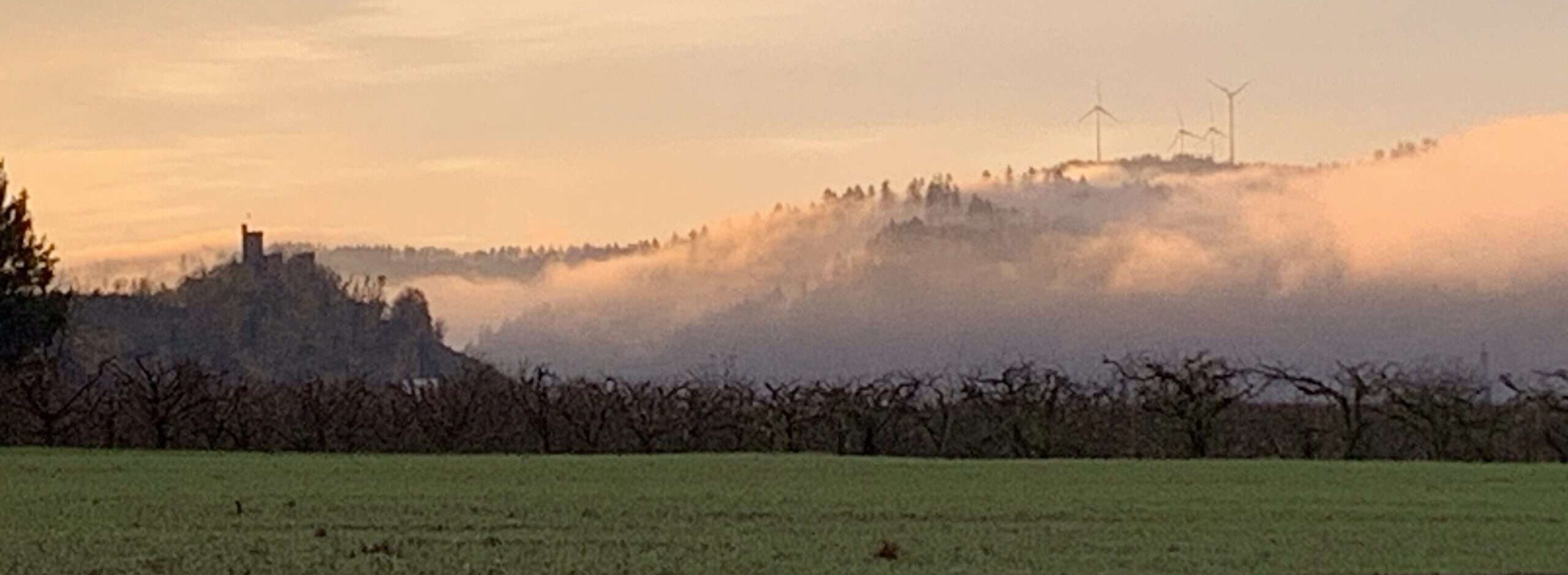 Haiku: Rauch Was macht die Liebe aus? Was macht uns zum Menschen? Wenn tote Seelen im Rauch liegen, fällt uns das Menschsein schwer.