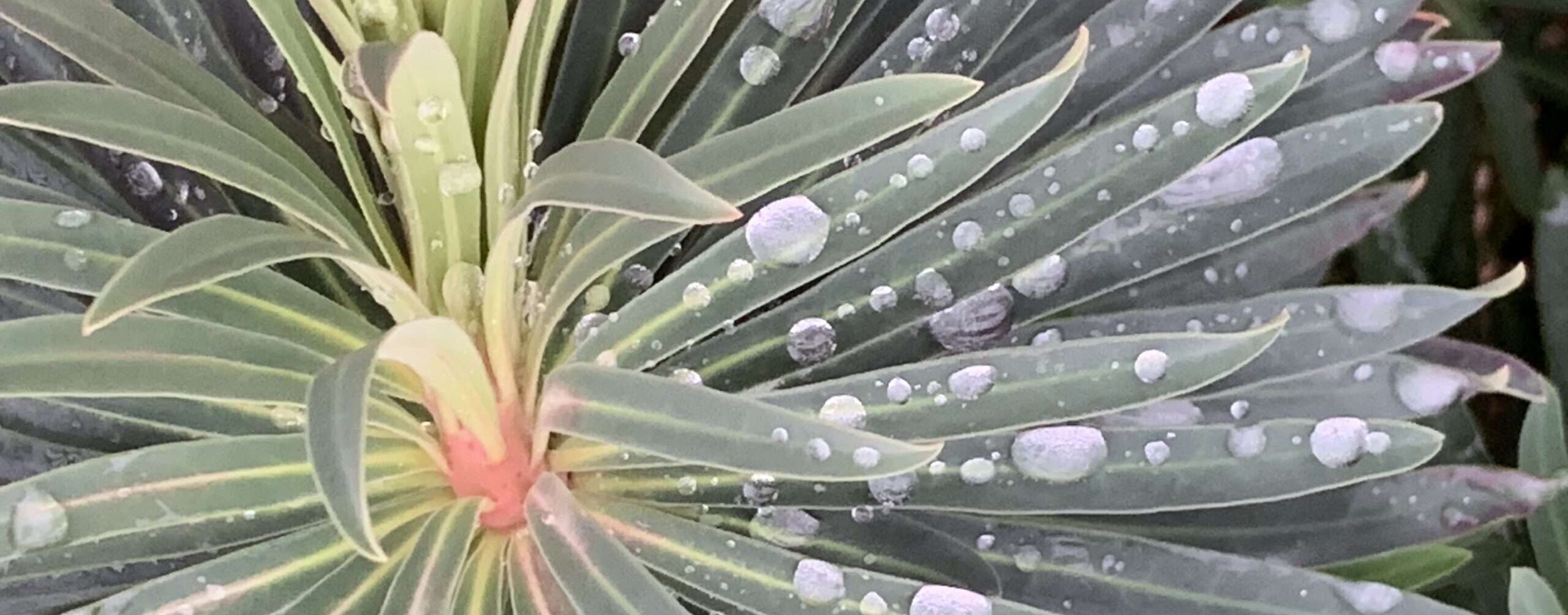 Der Schmerz sitzt überall, etwa in den Schatten der Liebe. Aber r ist wichtig, er lässt uns wachsen. Und wenn er vergeht, sind wir frei.