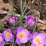 Ist Liebe mehr als der Gleichklang der Herzen? Wie es scheint, sieht RoBa in diesem Gedicht mehr Möglichkeiten als sich bewahrheiten.