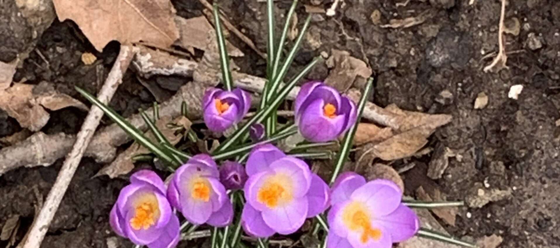 Gleichklang Ist Liebe mehr als der Gleichklang der Herzen? Wie es scheint, sieht RoBa in diesem Gedicht mehr Möglichkeiten als sich bewahrheiten.