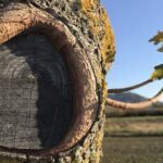 Drei Wünsche Wenn die Liebe Löcher bekommen hat wie ein alter Sack, ist das Ende nicht mehr fern. Da hilft keine Langmut, das Geplapper ist stärker.