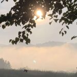 Manche Liebe lässt einem der Sonne zu nahe kommen. Die Träume vergehen darin, die Liebe wird zunehmend gefährlich.