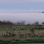 Alles ist besser als das Mit 200 Sachen durch den Nebel, das gelaicht mancher Liebe. Man ist versucht, bei 200 Sachen im Nebel auszusteigen, so belastend ist die Liebe.