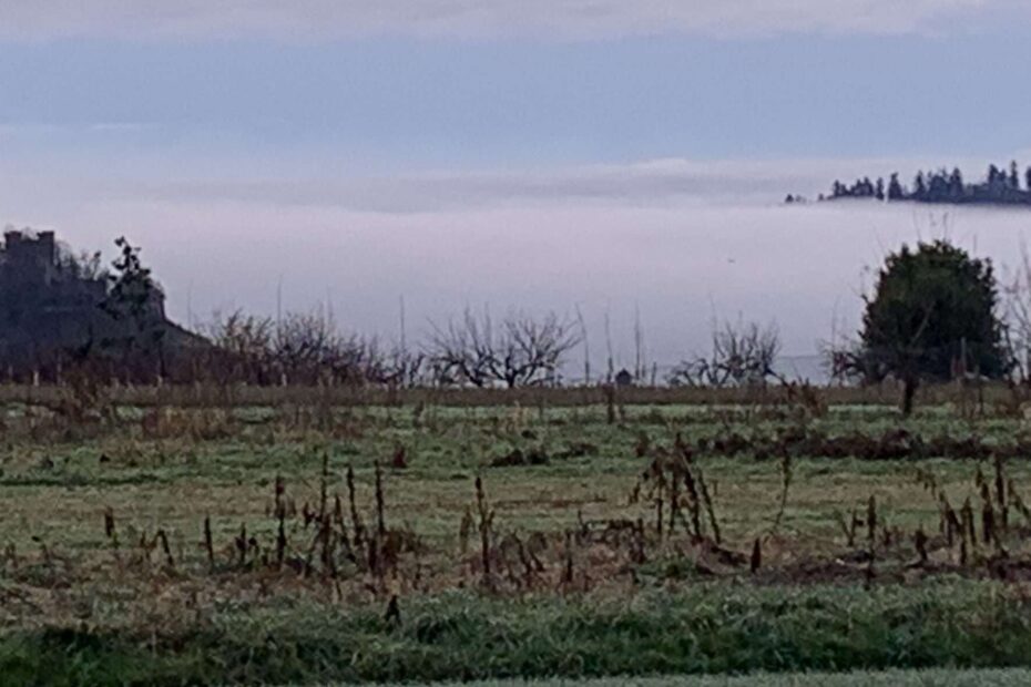 Mit 200 Sachen durch den Nebel, das gelaicht mancher Liebe. Man ist versucht, bei 200 Sachen im Nebel auszusteigen, so belastend ist die Liebe.