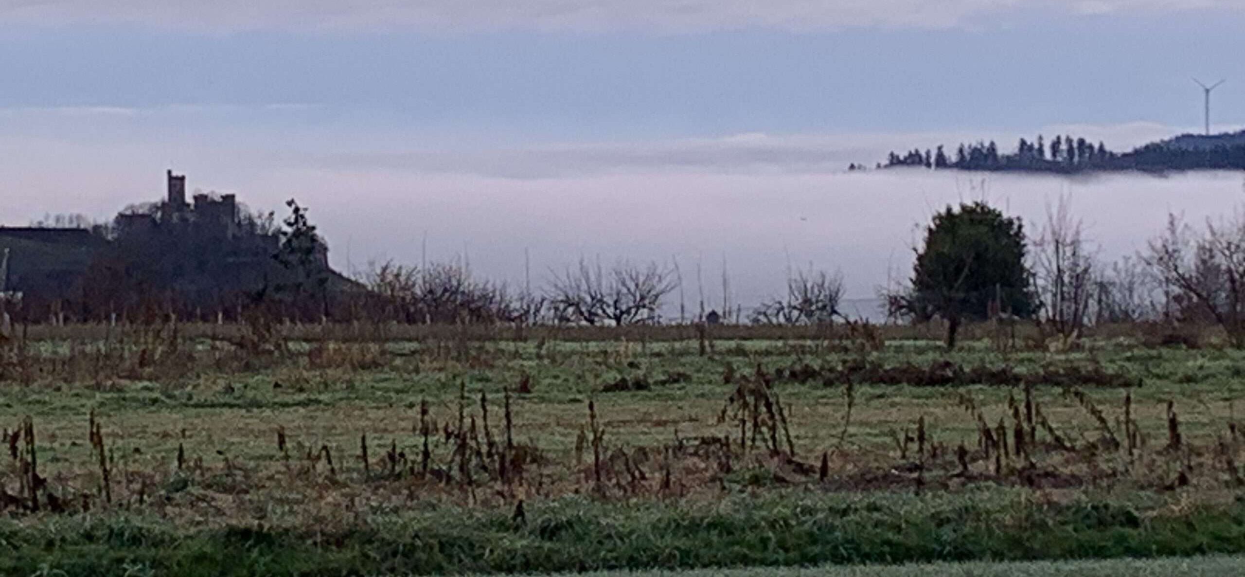 Alles ist besser als das Mit 200 Sachen durch den Nebel, das gelaicht mancher Liebe. Man ist versucht, bei 200 Sachen im Nebel auszusteigen, so belastend ist die Liebe.