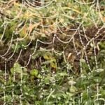 Dein Glück Wenn Du am Leben zu zerbrechen drohst, lächle. Schenke Dir ein Trotzdem und setze die Scherben deines Lebensspiegels neu und wild zusammen.