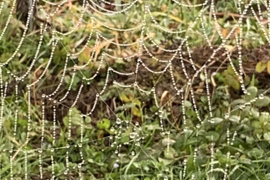 Wenn Du am Leben zu zerbrechen drohst, lächle. Schenke Dir ein Trotzdem und setze die Scherben deines Lebensspiegels neu und wild zusammen.