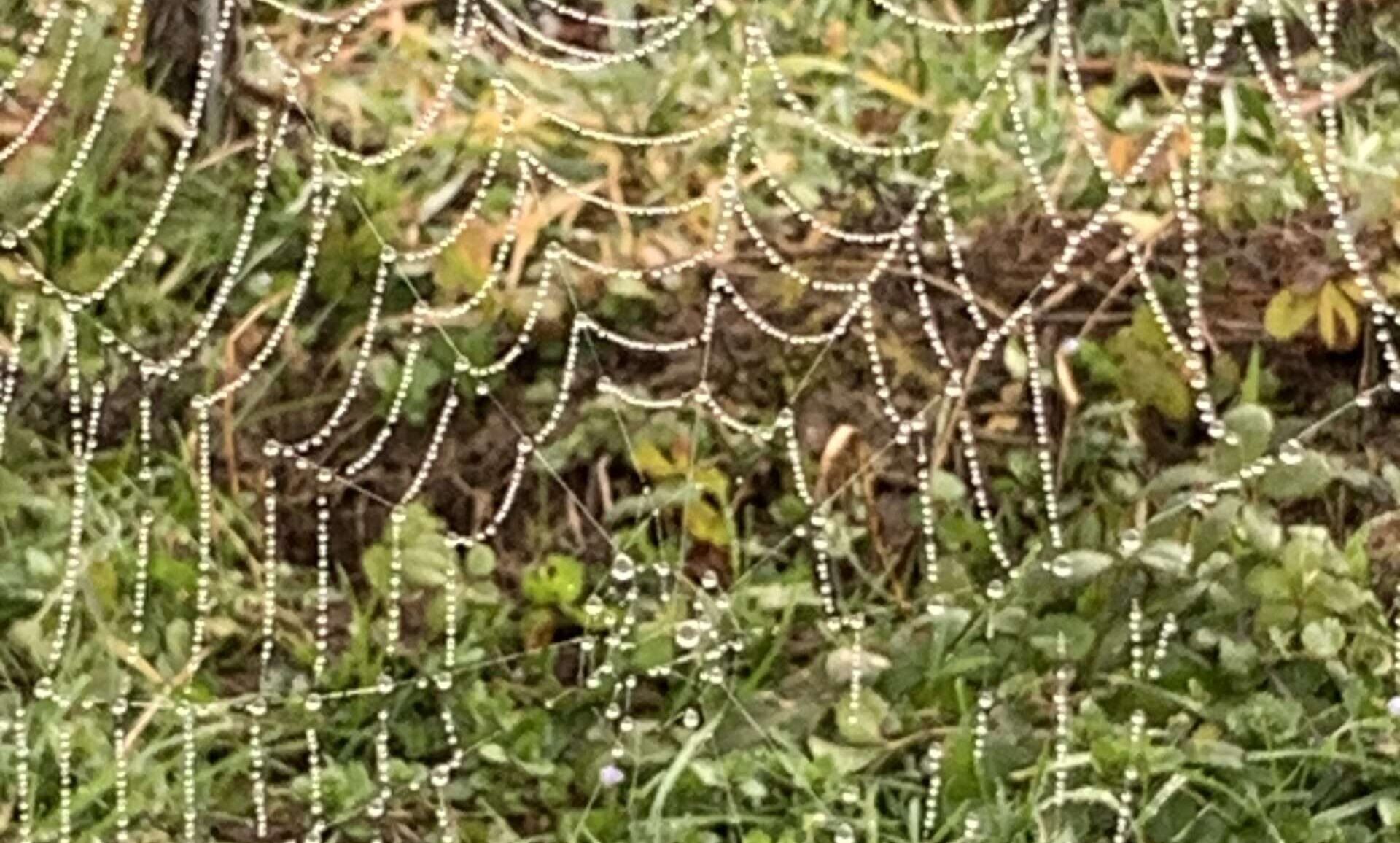 Dein Glück Wenn Du am Leben zu zerbrechen drohst, lächle. Schenke Dir ein Trotzdem und setze die Scherben deines Lebensspiegels neu und wild zusammen.