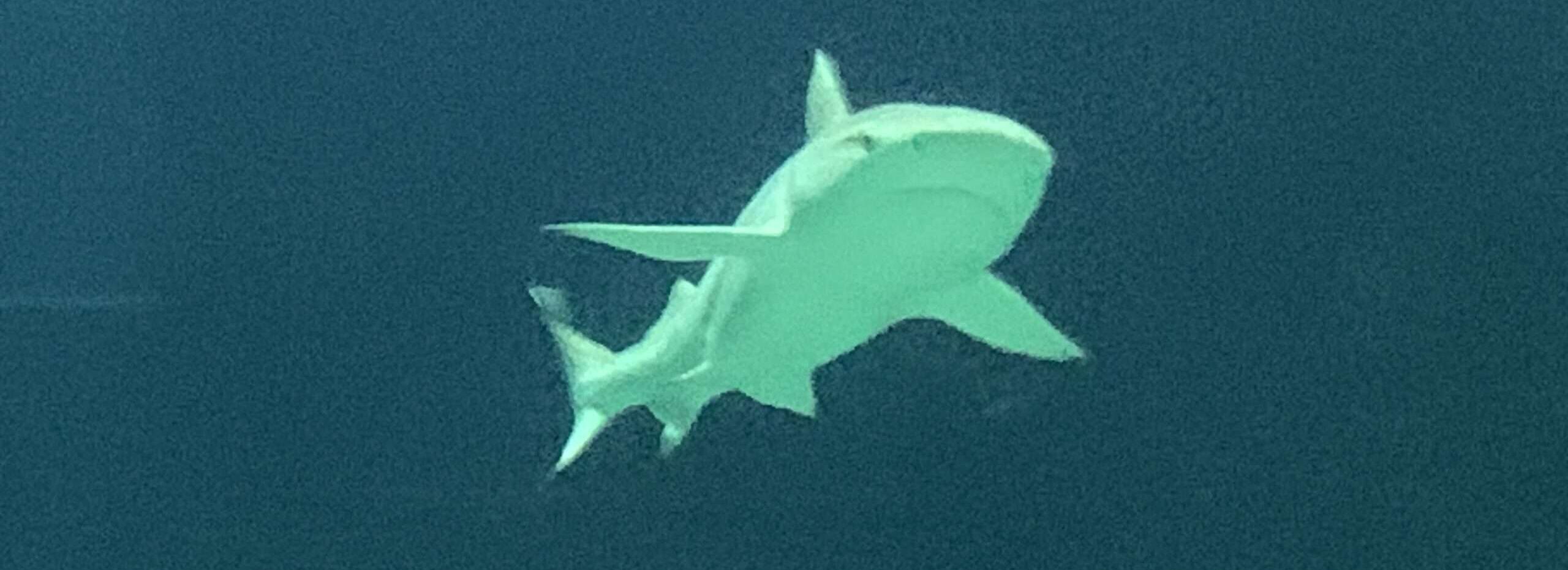 Naked skin: Wir sind nackt, unsere Haut hält das Böse nicht auf. Uns bleiben Illusionen und das nackte Grauen. Wehren wir uns klug.