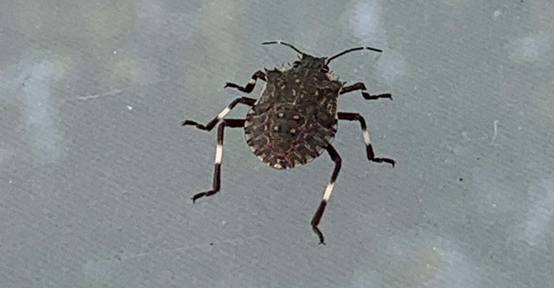 Wir sind artig. Und meistens freundlich. Es gibt auch heute noch solche Menschen. Nur, lohnt sich das? Vielleicht sollten wir ein wenig frecher sein.