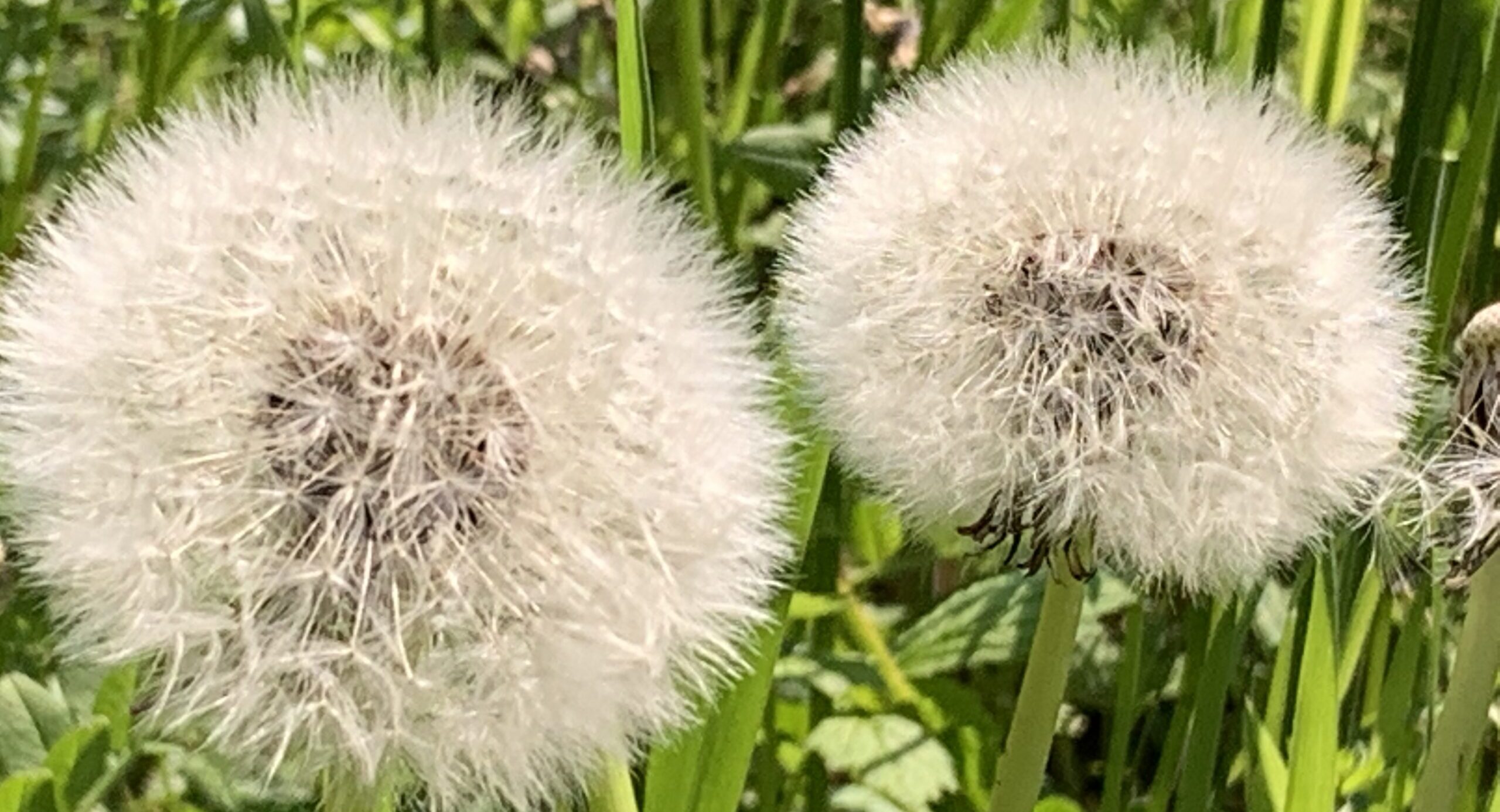 Auch wenn Du es nicht verstehst Habe Mut. Auch, wenn das Leben uns traurig stimmt, wenn es so aussieht, als werde alles immer nur schlechter, Du kannst Dir selbst helfen. Und Du darfst auf Gott vertrauen.