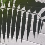 Erinnerungen können schmerzen, vor allem an eine Geliebte, die vor Jahren aus meinem Leben verschwand. Und nun ist sie tot.