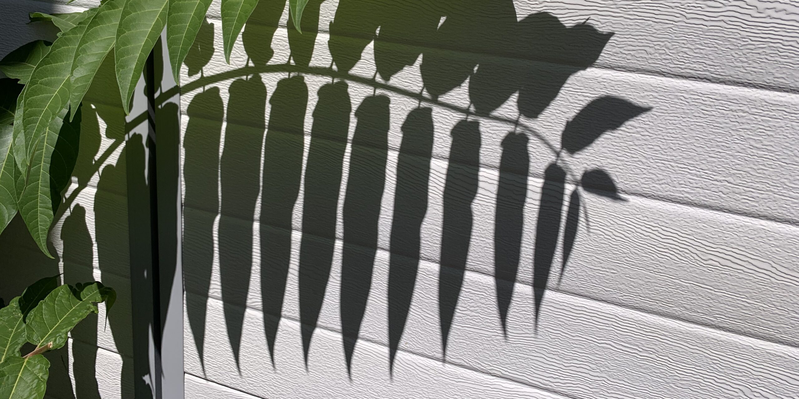 Erinnerungen können schmerzen, vor allem an eine Geliebte, die vor Jahren aus meinem Leben verschwand. Und nun ist sie tot.