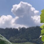 Time waits for me Das Leben ist klein und grau. Na und? Und doch ist es verrückt. Running under the mood of madness. So sind wir unterwegs Richtung Greisentum.