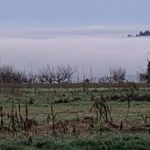 November Rain Die Natur stirbt, es ist grau, November, Regen. Nichts vermag uns vor der Depression zu schützen. Nur dieses eine Lächeln kann es.